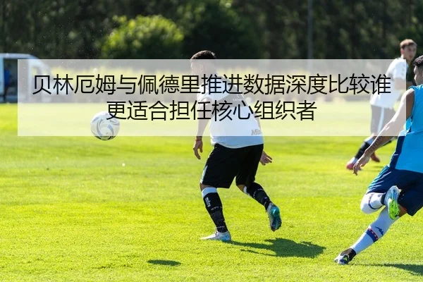 img_1783343259605_584_1_446.jpg
