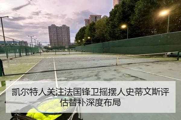 凯尔特人关注法国锋卫摇摆人史蒂文斯评估替补深度布局